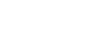 Artisan White